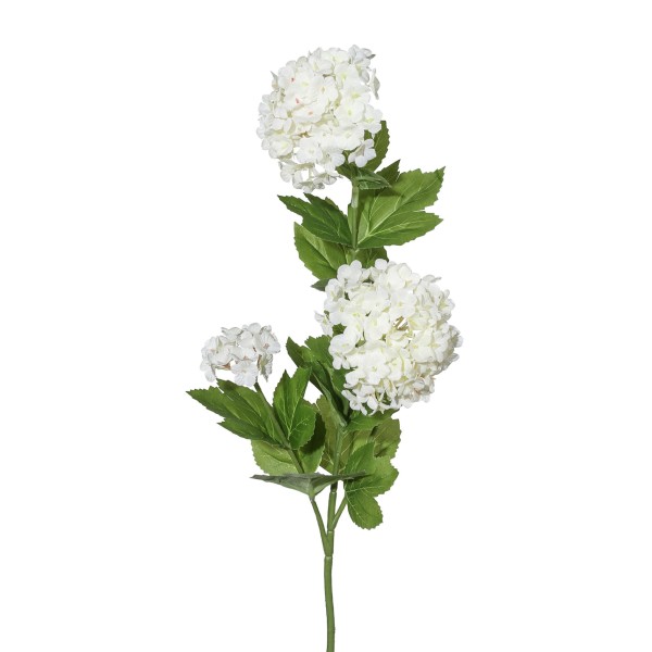 Gasper Schneeballzweig creme Naturgetreue Pflanzendeko Kunstpflanze wie echt Dekoration Pflanzenzweig weiße Blüten