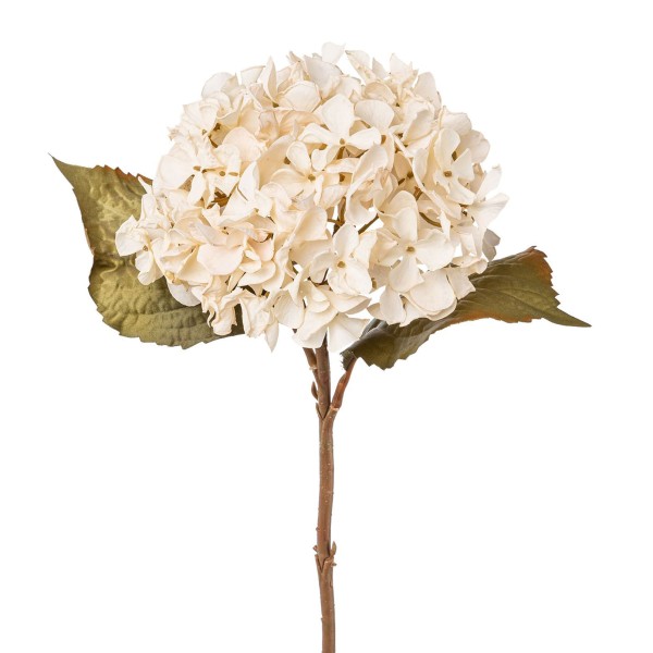 Gasper Hortensie beige Kunstpflanze naturgetreu wie echt Naturtöne Dekoration Boho-look Boho-stil Bohemian Bohemien