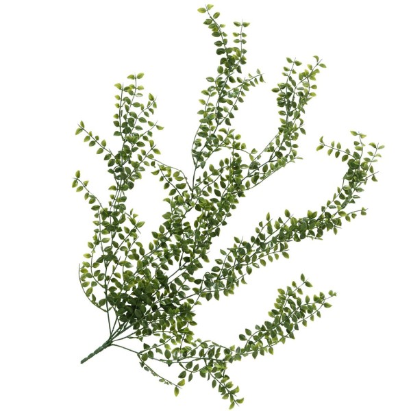 Boltze Kunstpflanze Penstemon Campanulatus grün Kunstzweig naturgetreu pflegeleicht langlebig hochwertig Pflanzendeko Dekopflanze Nachbildung