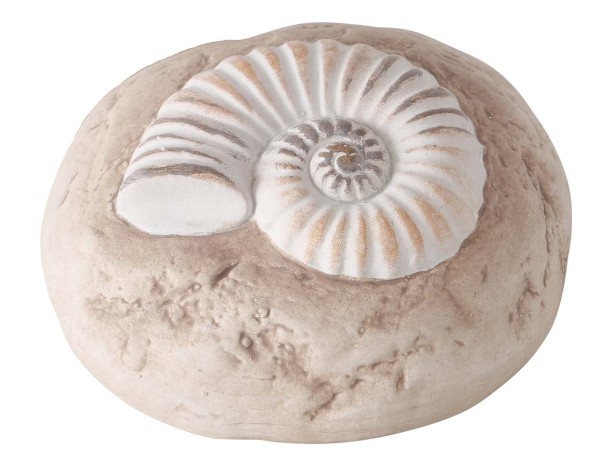 Boltze Dekoaufsteller Amaly Beige Stein mit Muschel-Fossil steinförmige Deko mit Muschel Fossil Dekoration maritim Strandhaus Look