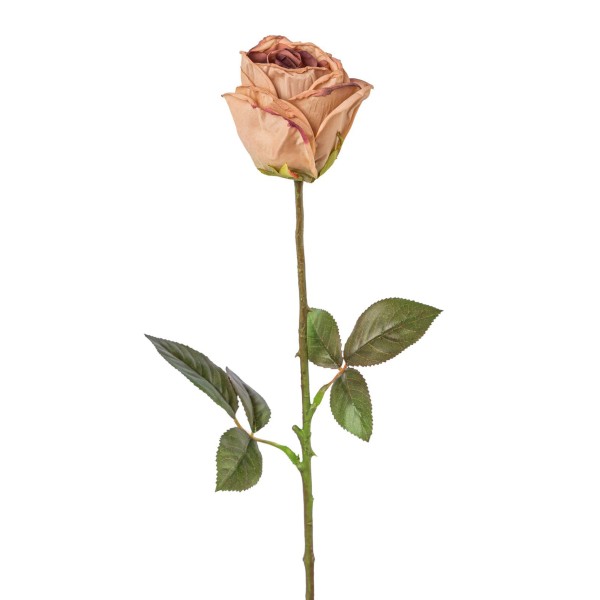 Gasper Rose altrosa Pflanzendekoration Boho-look Rose getrocknet Bohostil Kunstpflanze naturgetreu wie echt pflegeleicht