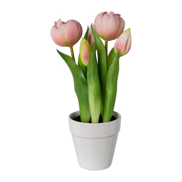 Gasper Tulpen im Keramiktopf rosa Tulpenstrauß Blumen im Topf inkl. Blumentopf Keramik Frühlingsblumen Frühlingsdeko